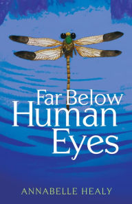 Download google books iphone Far Below Human Eyes RTF ePub by Annabelle Healy