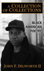 A Collection of Collections: Black American Poetry