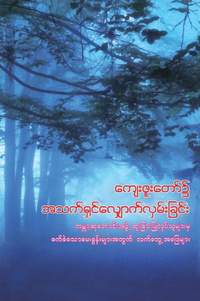 Walking in God's Grace (Burmese): Practical Answers to Tough Questions
