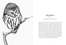 Alternative view 2 of The Hidden Lives of Owls: The Science and Spirit of Nature's Most Elusive Birds