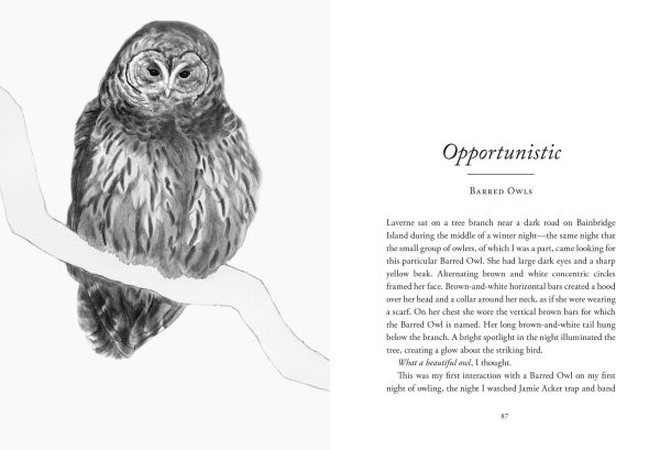 The Hidden Lives of Owls: The Science and Spirit of Nature's Most Elusive Birds