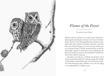 Alternative view 4 of The Hidden Lives of Owls: The Science and Spirit of Nature's Most Elusive Birds