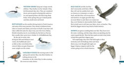 Alternative view 4 of Curious Kids Nature Guide: Explore the Amazing Outdoors of the Pacific Northwest