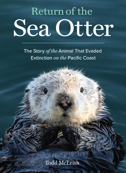 Return of the Sea Otter: Story Animal That Evaded Extinction on Pacific Coast