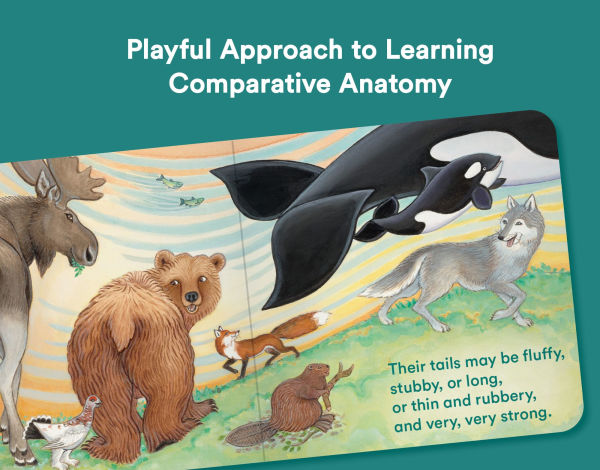 Alaska's Animals: An Alaska Board Book for Kids