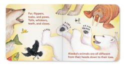 Alternative view 7 of Alaska's Animals: An Alaska Board Book for Kids