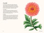 Alternative view 7 of Dahlias: A Little Book of Flowers