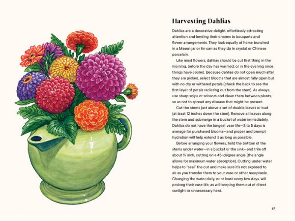 Dahlias: A Little Book of Flowers