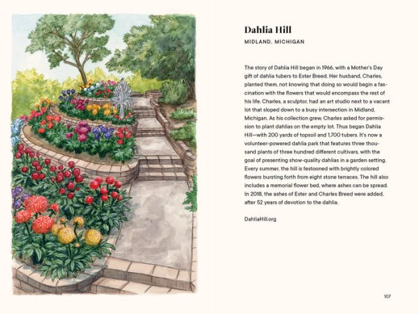 Dahlias: A Little Book of Flowers