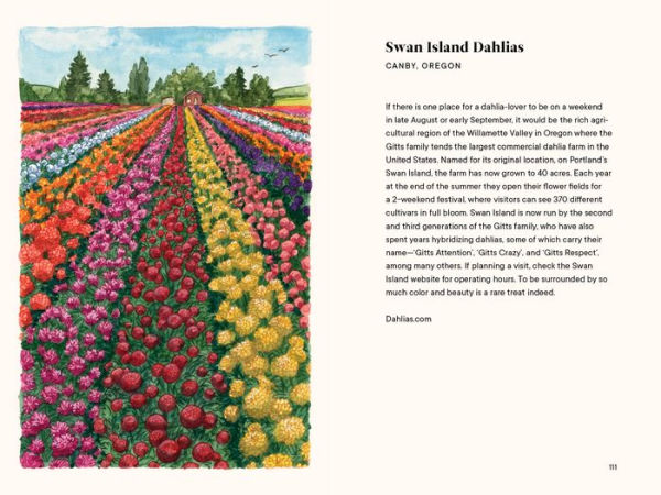 Dahlias: A Little Book of Flowers
