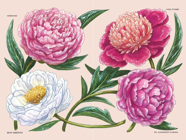 Peonies: A Little Book of Flowers