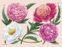 Alternative view 3 of Peonies: A Little Book of Flowers