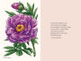 Alternative view 8 of Peonies: A Little Book of Flowers