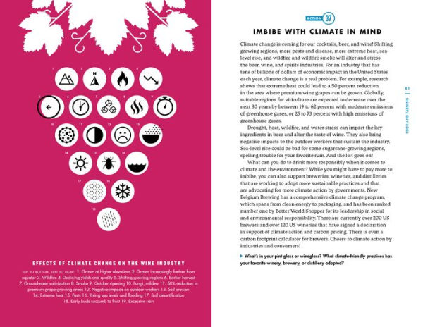 The Climate Action Handbook: A Visual Guide to 100 Climate Solutions for Everyone