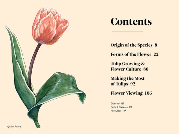Tulips: A Little Book of Flowers