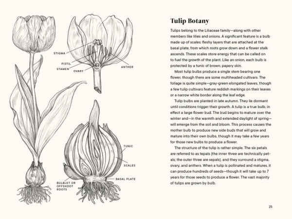 Tulips: A Little Book of Flowers