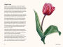 Alternative view 4 of Tulips: A Little Book of Flowers