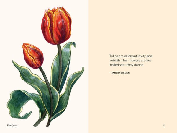 Tulips: A Little Book of Flowers