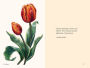 Alternative view 5 of Tulips: A Little Book of Flowers