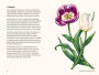 Alternative view 7 of Tulips: A Little Book of Flowers