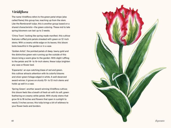 Tulips: A Little Book of Flowers