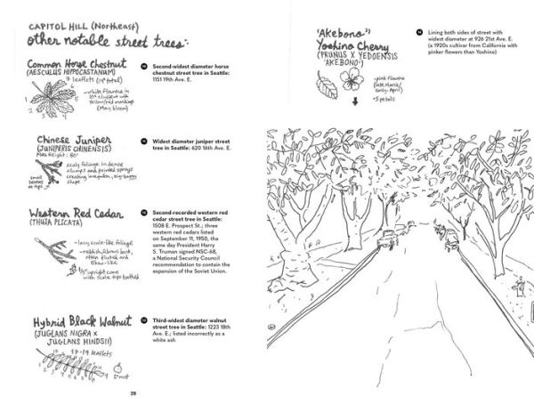Street Trees of Seattle: An Illustrated Walking Guide