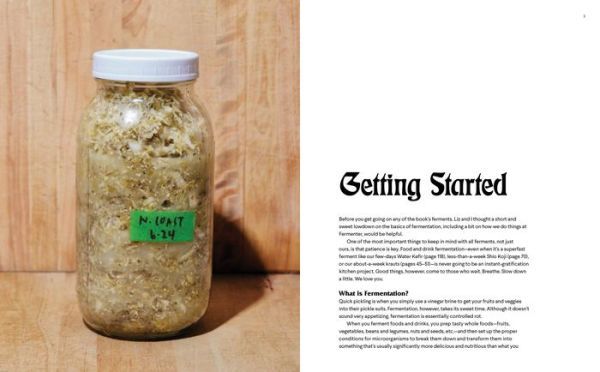 Fermenter: DIY Fermentation for Vegan Fare, Including Recipes for Krauts, Pickles, Koji, Tempeh, Nut- & Seed-Based Cheeses, Fermented Beverages & What to Do with Them
