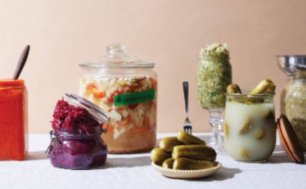 Fermenter: DIY Fermentation for Vegan Fare, Including Recipes for Krauts, Pickles, Koji, Tempeh, Nut- & Seed-Based Cheeses, Fermented Beverages & What to Do with Them