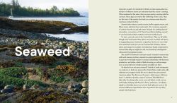 Alternative view 18 of Forage. Gather. Feast.: 100+ Recipes from West Coast Forests, Shores, and Urban Spaces