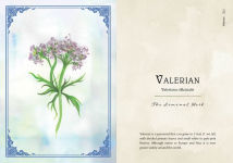 Alternative view 19 of Wild Medicine: An Illustrated Guide to the Magick of Herbs