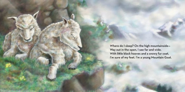 Where Do I Sleep?: A Nature Lullaby