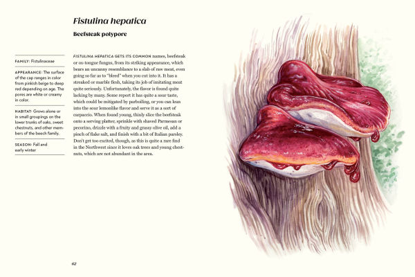 Field Notes from a Fungi Forager: An Illustrated Journey Through the World of Pacific Northwest Mushrooms