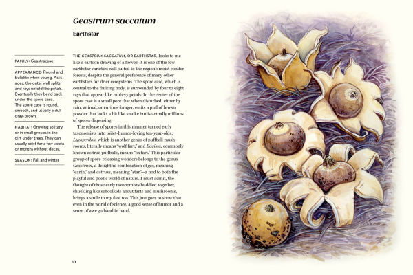 Field Notes from a Fungi Forager: An Illustrated Journey Through the World of Pacific Northwest Mushrooms