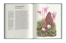 Alternative view 14 of Field Notes from a Fungi Forager: An Illustrated Journey Through the World of Pacific Northwest Mushrooms