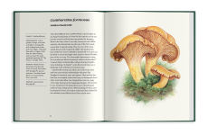 Alternative view 18 of Field Notes from a Fungi Forager: An Illustrated Journey Through the World of Pacific Northwest Mushrooms
