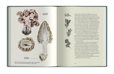 Alternative view 19 of Field Notes from a Fungi Forager: An Illustrated Journey Through the World of Pacific Northwest Mushrooms