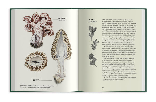 Field Notes from a Fungi Forager: An Illustrated Journey Through the World of Pacific Northwest Mushrooms