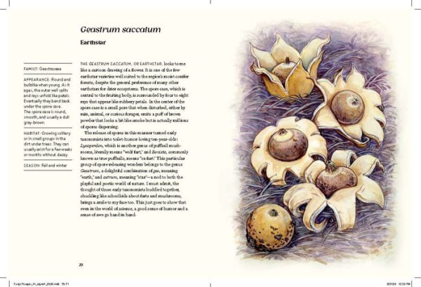 Field Notes from a Fungi Forager: An Illustrated Journey Through the World of Pacific Northwest Mushrooms