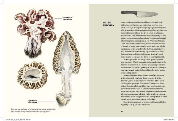 Field Notes from a Fungi Forager: An Illustrated Journey Through the World of Pacific Northwest Mushrooms