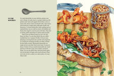 Alternative view 10 of Field Notes from a Fungi Forager: An Illustrated Journey Through the World of Pacific Northwest Mushrooms