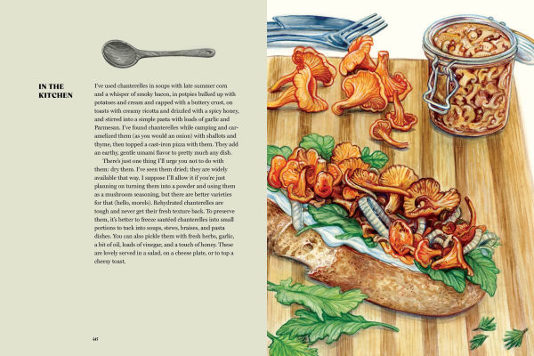 Field Notes from a Fungi Forager: An Illustrated Journey Through the World of Pacific Northwest Mushrooms