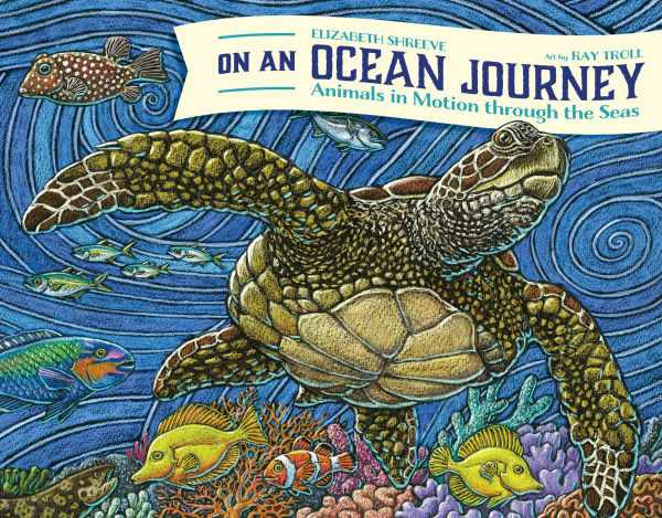 On An Ocean Journey: Animals Motion through the Seas