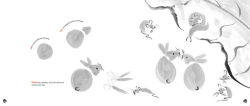 Alternative view 3 of Super Simple Sumi-e: Easy Asian Brush Painting for All Ages