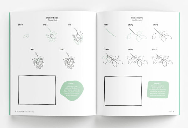 Pacific Northwest Line Drawing: How to Draw Flowers, Trees, Mushrooms, Birds, Animals, Landmarks, and More