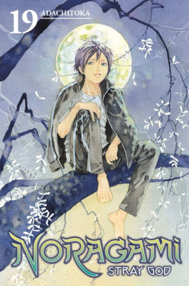 Noragami Stray God 19 By Adachitoka Paperback Barnes