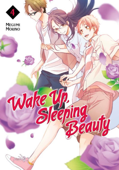 Wake Up, Sleeping Beauty, Volume 4