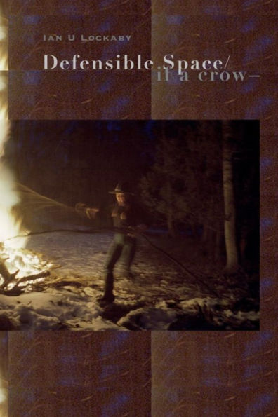 Defensible Space/if a crow-