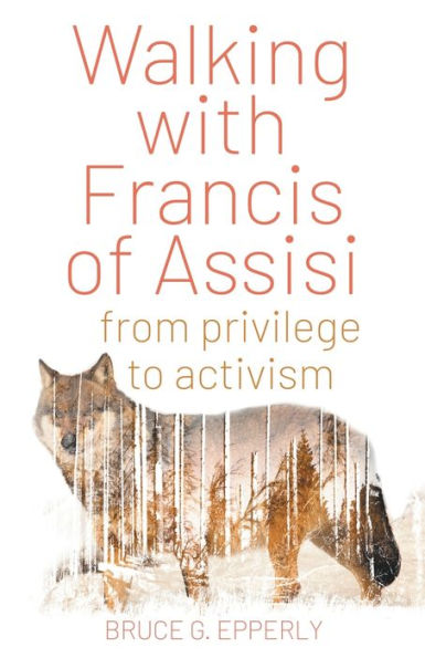 Walking with Francis of Assisi: From Privilege to Activism