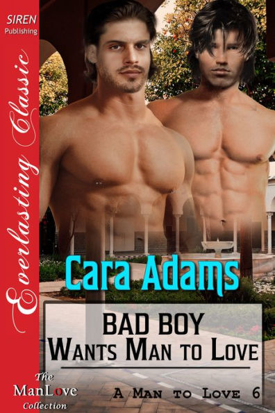 Bad Boy Wants Man to Love [A Man to Love 6] (Siren Publishing Everlasting Classic ManLove)