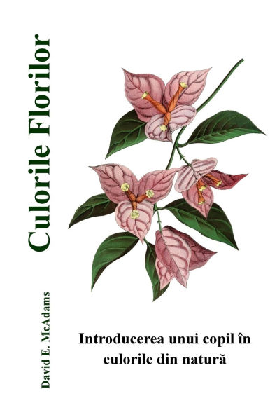 Culorile Florilor: Introducerea unui copil ï¿½n culorile din natură